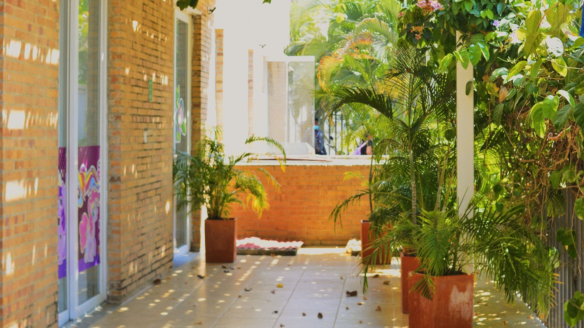Cartagena 6